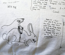 2008-2009 Vol. II, pillow case detail, ink on fabric, collected dream notes, 2009